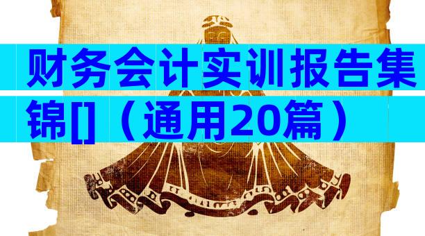 财务会计实训报告集锦[]（通用20篇）